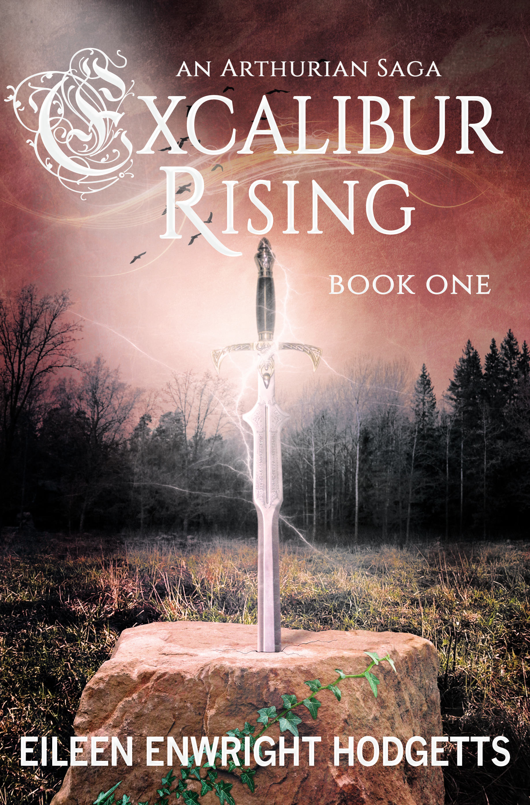 FREE: Excalibur Rising: Book One of an Arthurian Saga by Eileen Enwright Hodgetts