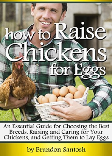 FREE: How to Raise Chickens for Eggs by Brandon Santosh