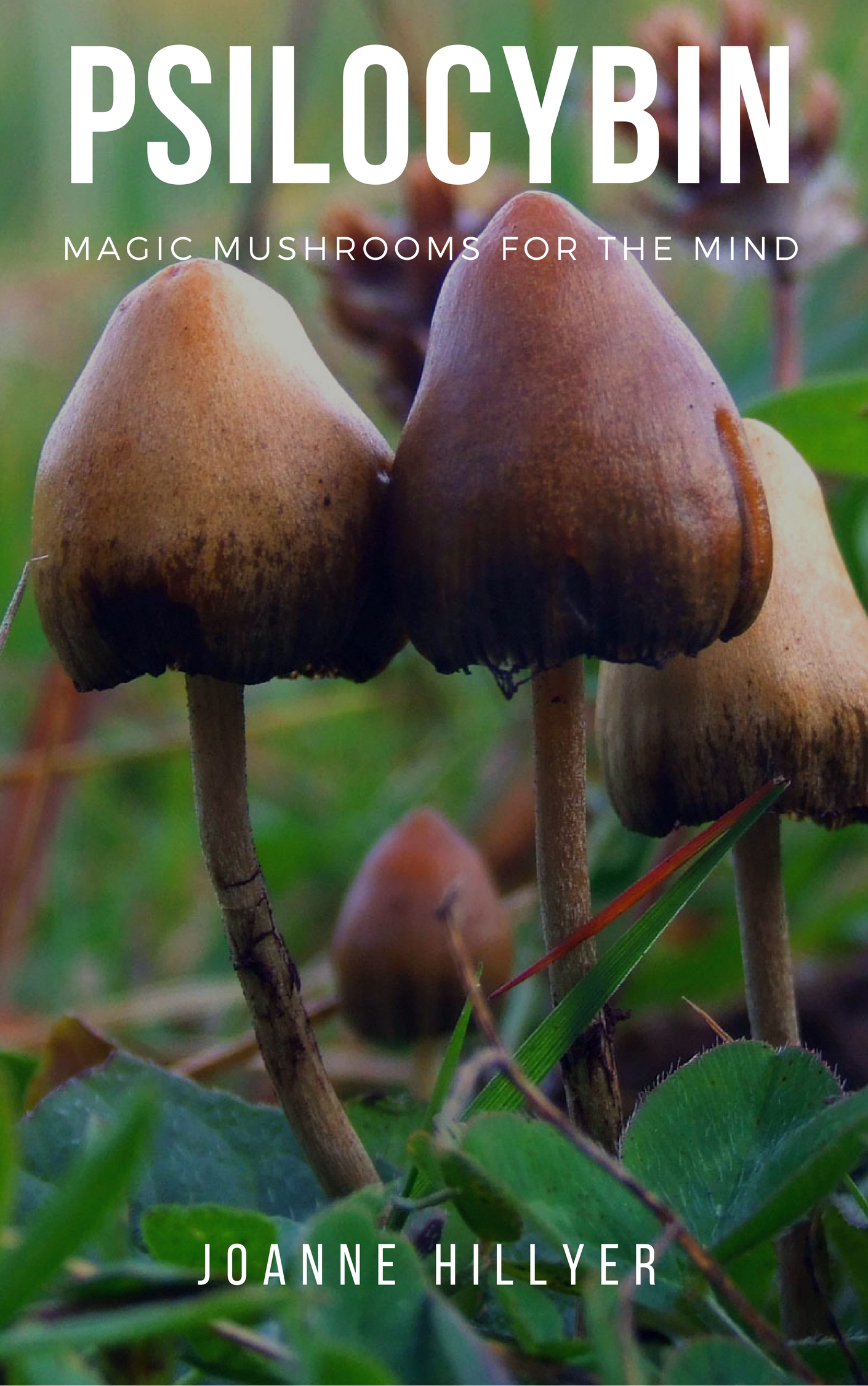 FREE: Psilocybin: Magic Mushrooms for the Mind by Joanne Hillyer