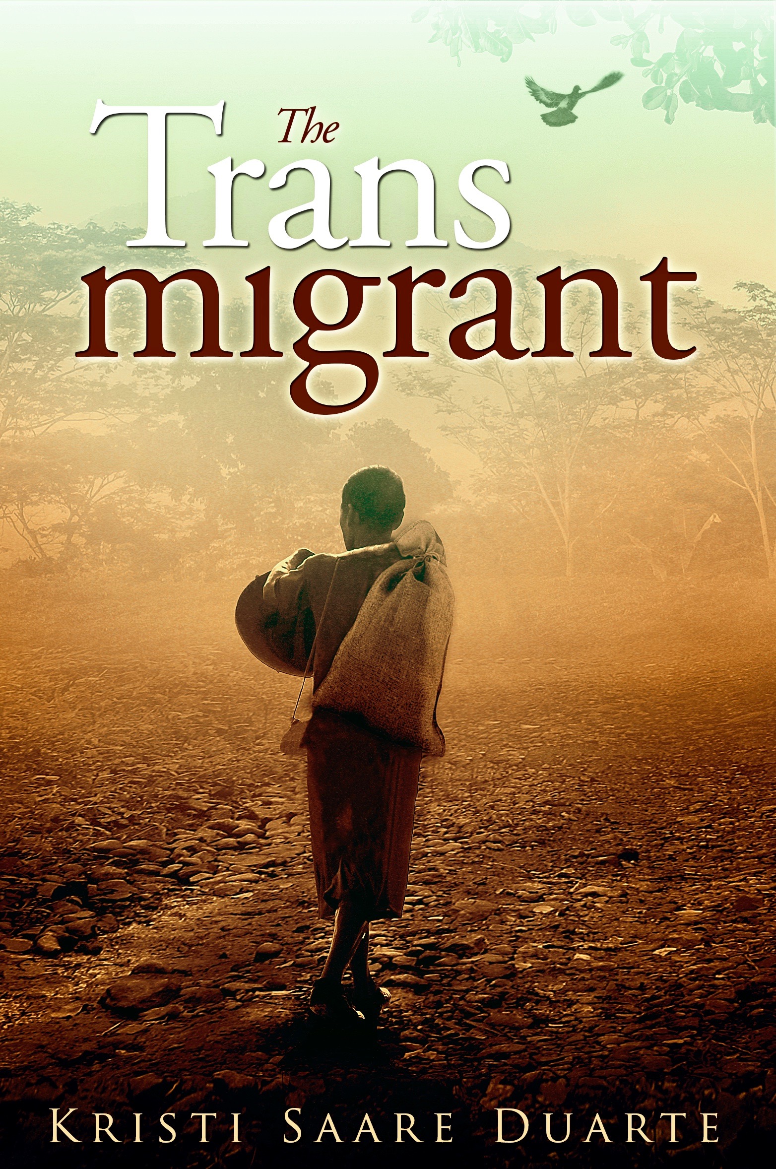 FREE: The Transmigrant by Kristi Saare Duarte