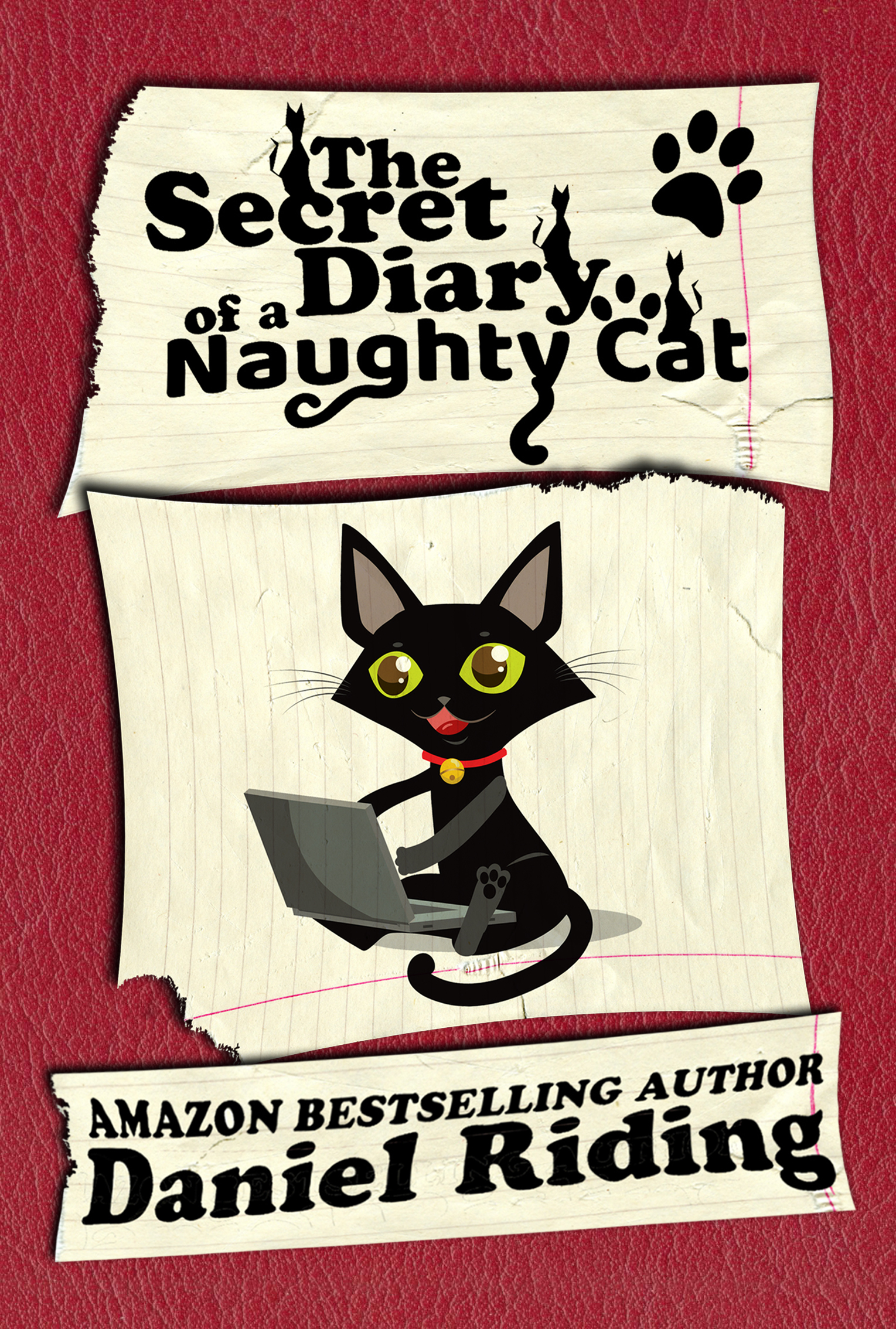 FREE: The Secret Diary of a Naughty Cat by Daniel Riding