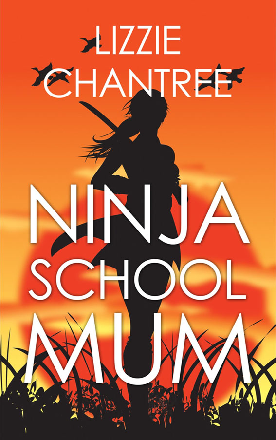 FREE: Ninja School Mum by Lizzie Chantree