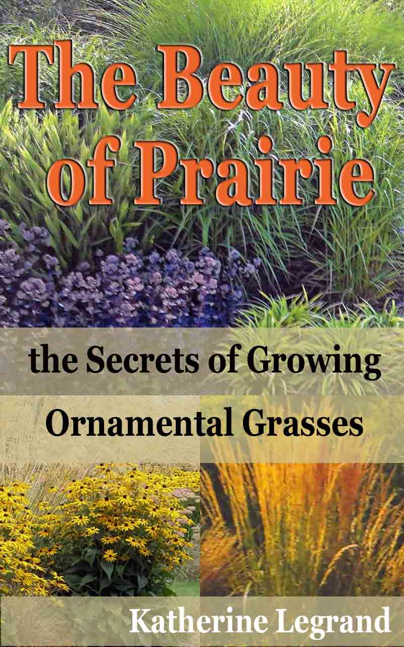 FREE: The Beauty of Prairies: the Secrets of Growing Ornamental Grasses: How to create a natural garden in the wild style of prairies by Katherine Legrand