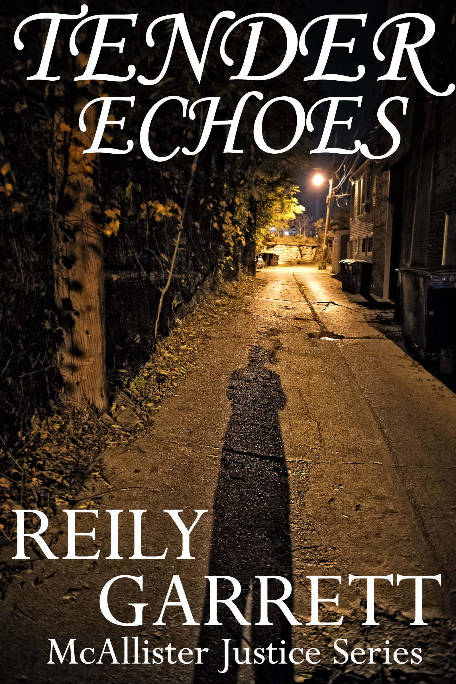FREE: Tender Echoes by Reily Garrett