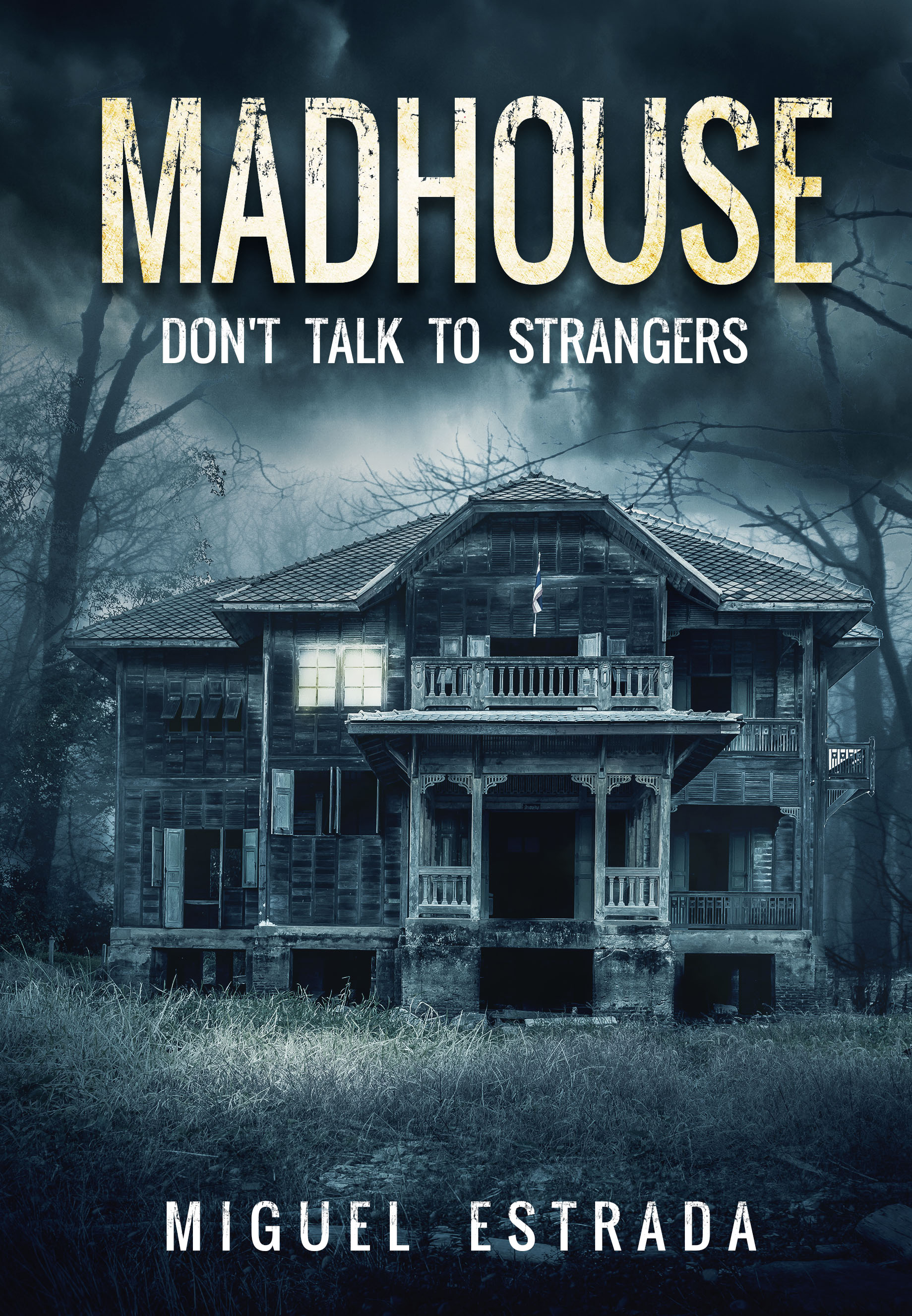 FREE: Madhouse by Miguel Estrada