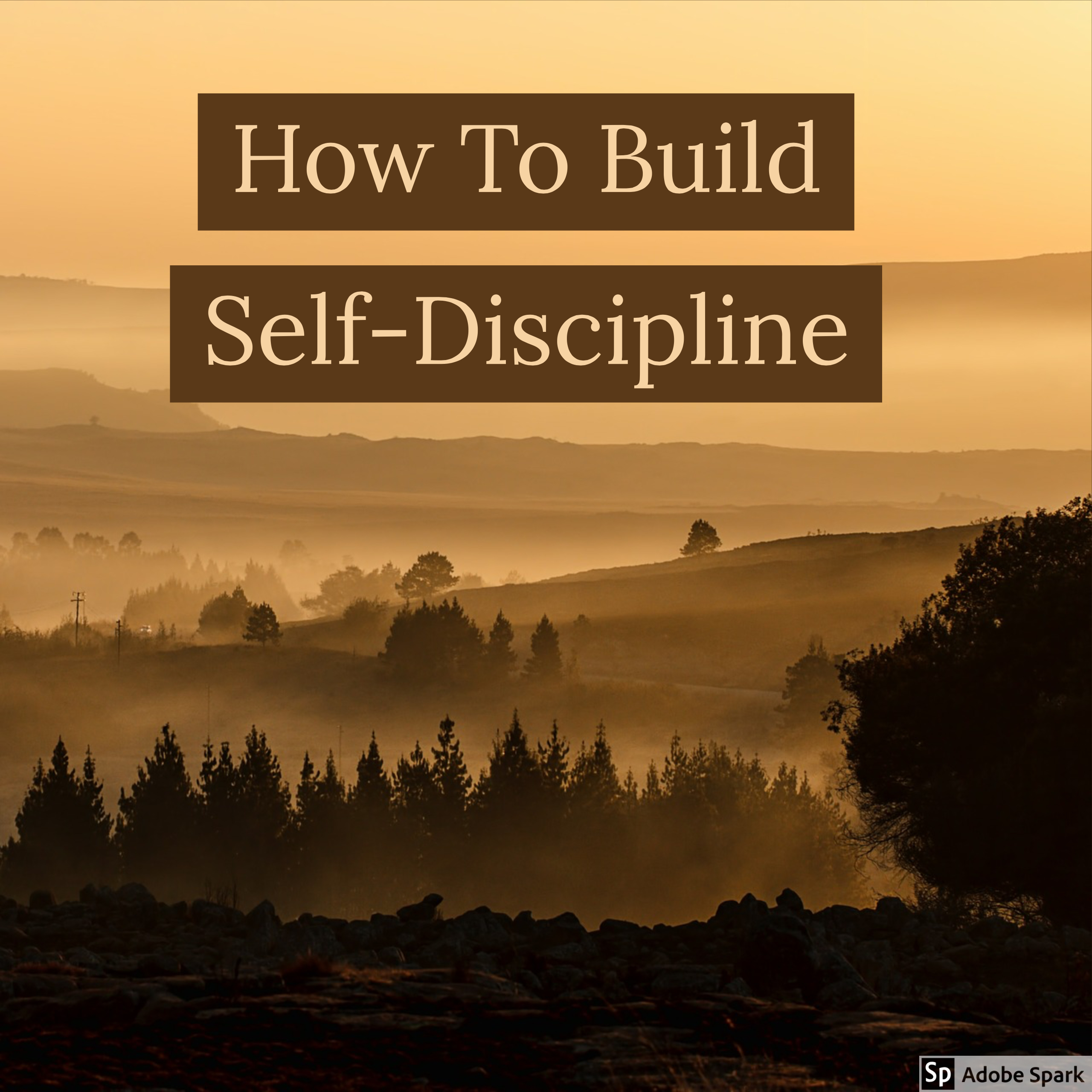 FREE: Self-Discipline: How To Build Self-Discipline: The 10 Most Effective Ways To Beat Procrastination, Develop Good Habits, And Finally Get The Life You Always Wanted by Deniz Basar