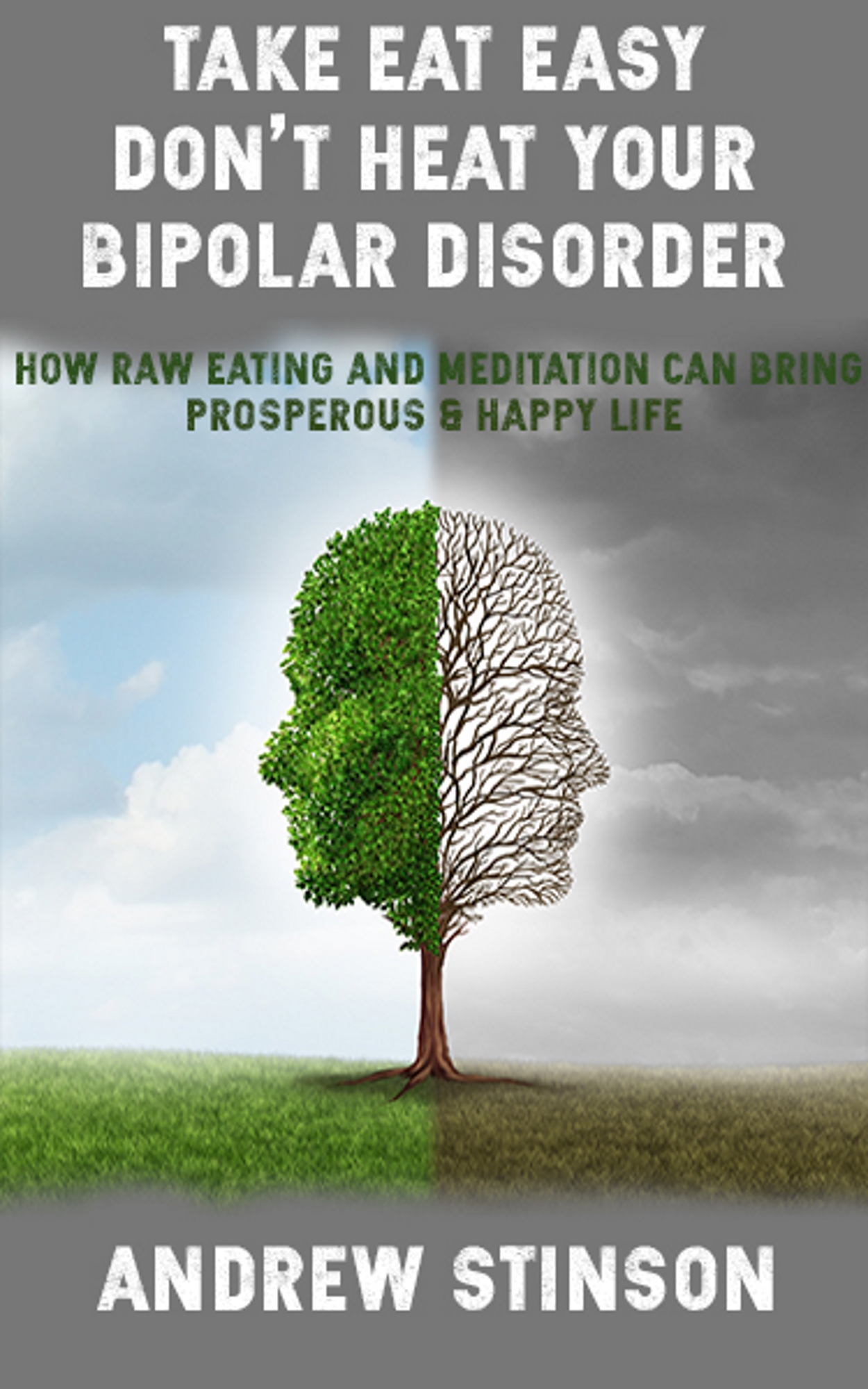 FREE: Take Eat Easy – Don’t Heat Your Bipolar Disorder: How Raw Eating and Meditation can bring Prosperous & Happy Life by Andrew Stinson