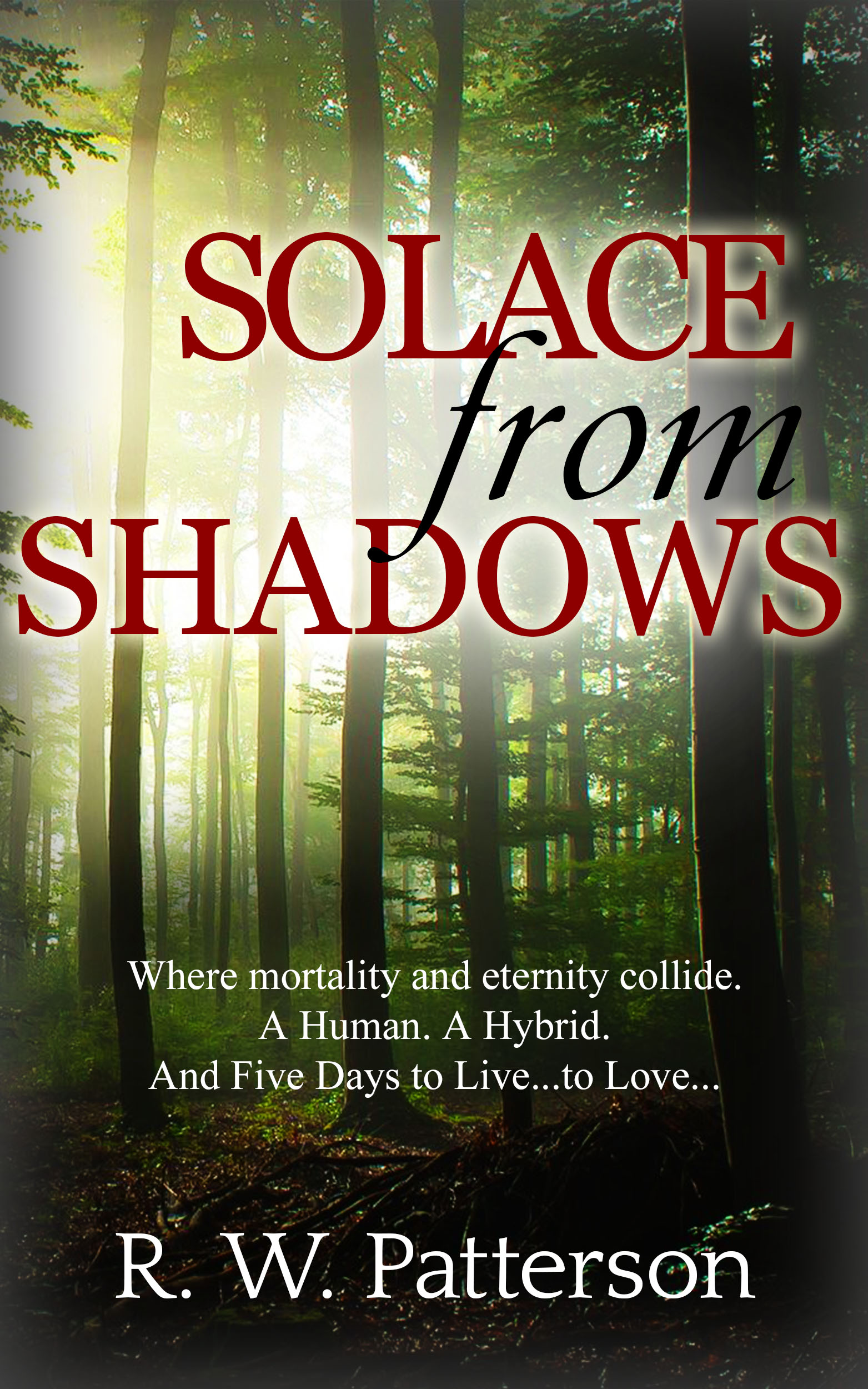 FREE: Solace From Shadows by R. W. Patterson