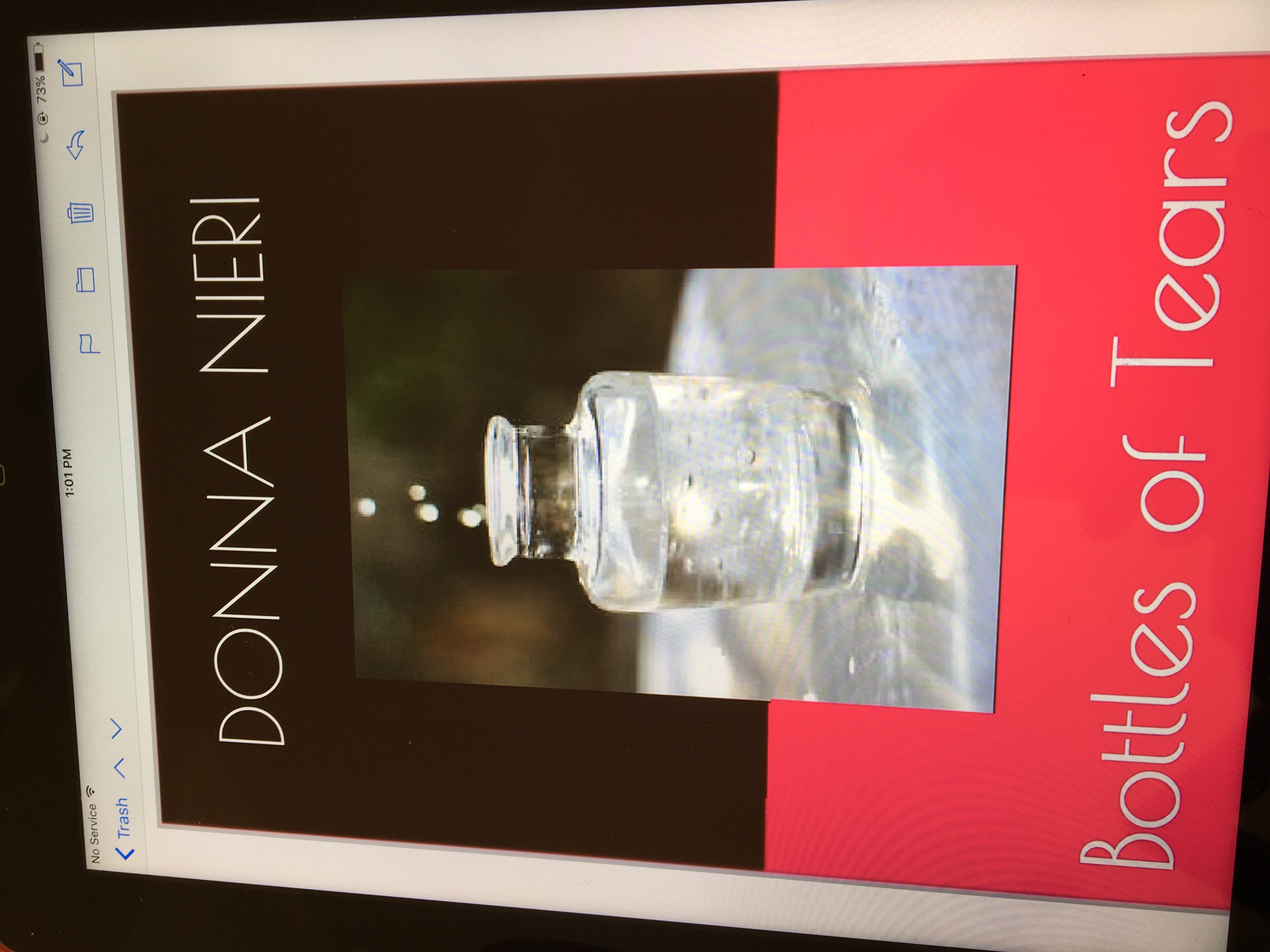 FREE: Bottles Of Tears by Donna Nieri