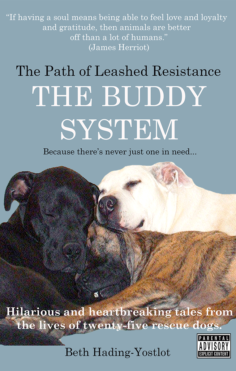 FREE: The Path of Leashed Resistance: The Buddy System by Beth Hading-Yostlot