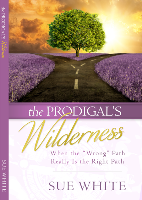 FREE: The Prodigal’s Wilderness: When the “Wrong” Path Really Is the Right Path by Sue White