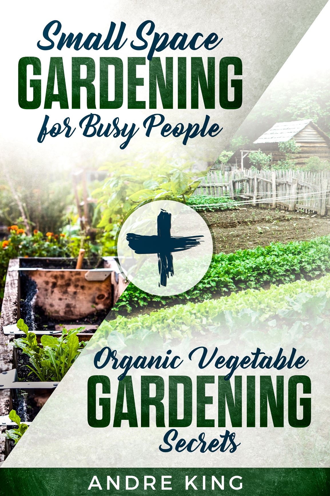 FREE: Small Space Gardening for Busy People : + Organic Vegetable Gardening Secrets by Andre King