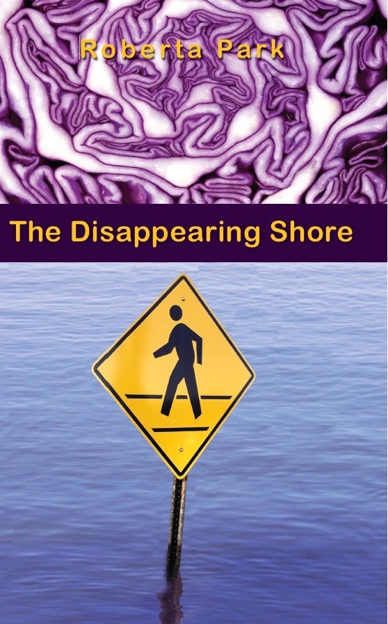 FREE: The Disappearing Shore by Roberta Park
