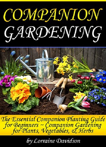 FREE: Companion Gardening by Lorraine Davidson