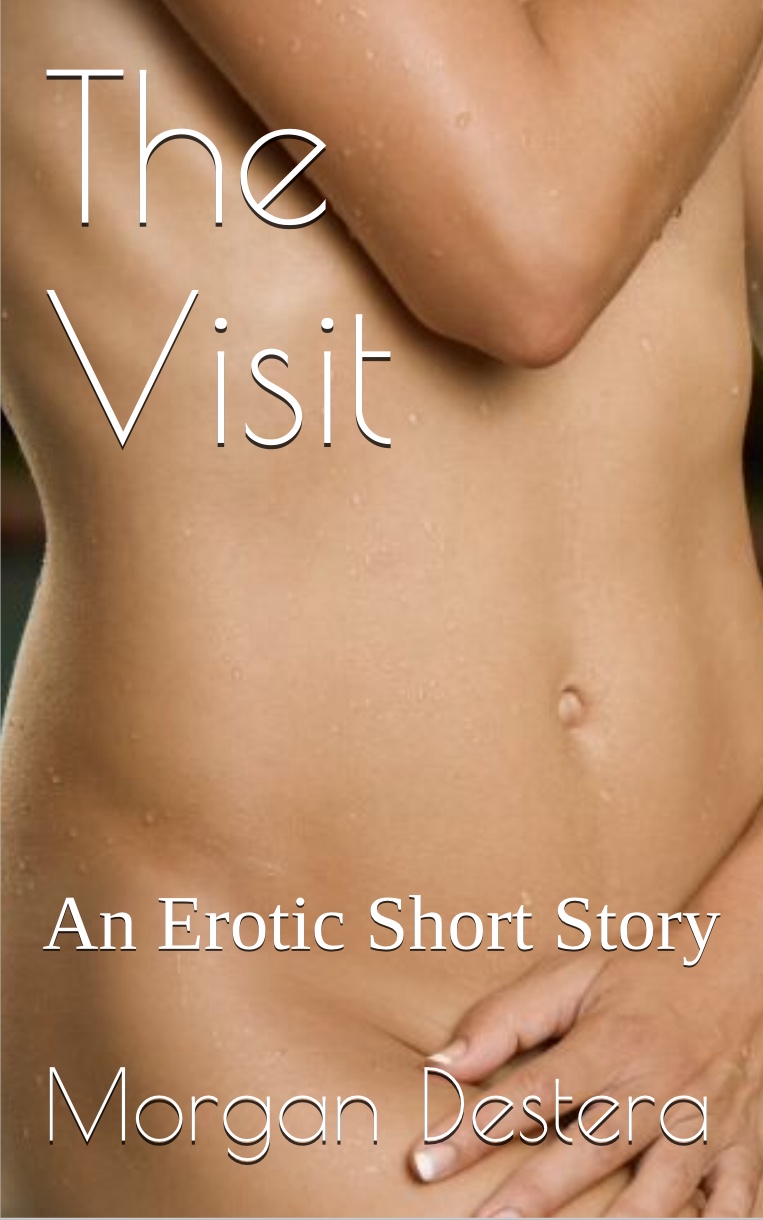FREE: The Visit – An Erotic Short Story by Morgan Destera