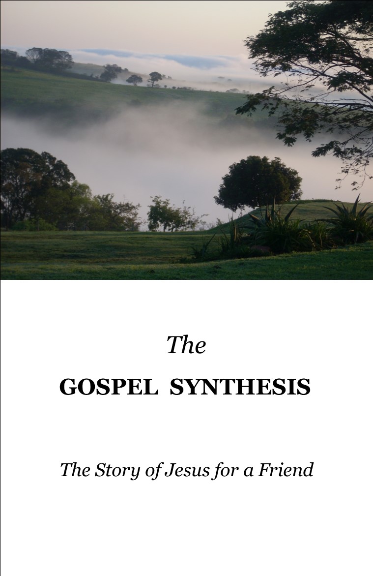 FREE: The Gospel Synthesis: The Story of Jesus for a Friend by Geoff Limerick