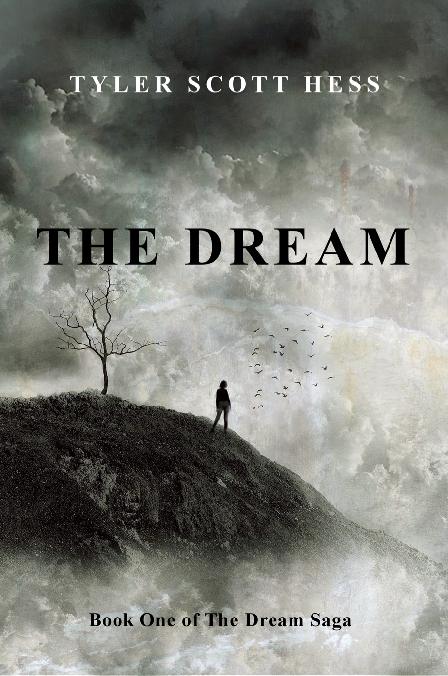 FREE: The Dream by Tyler Scott Hess