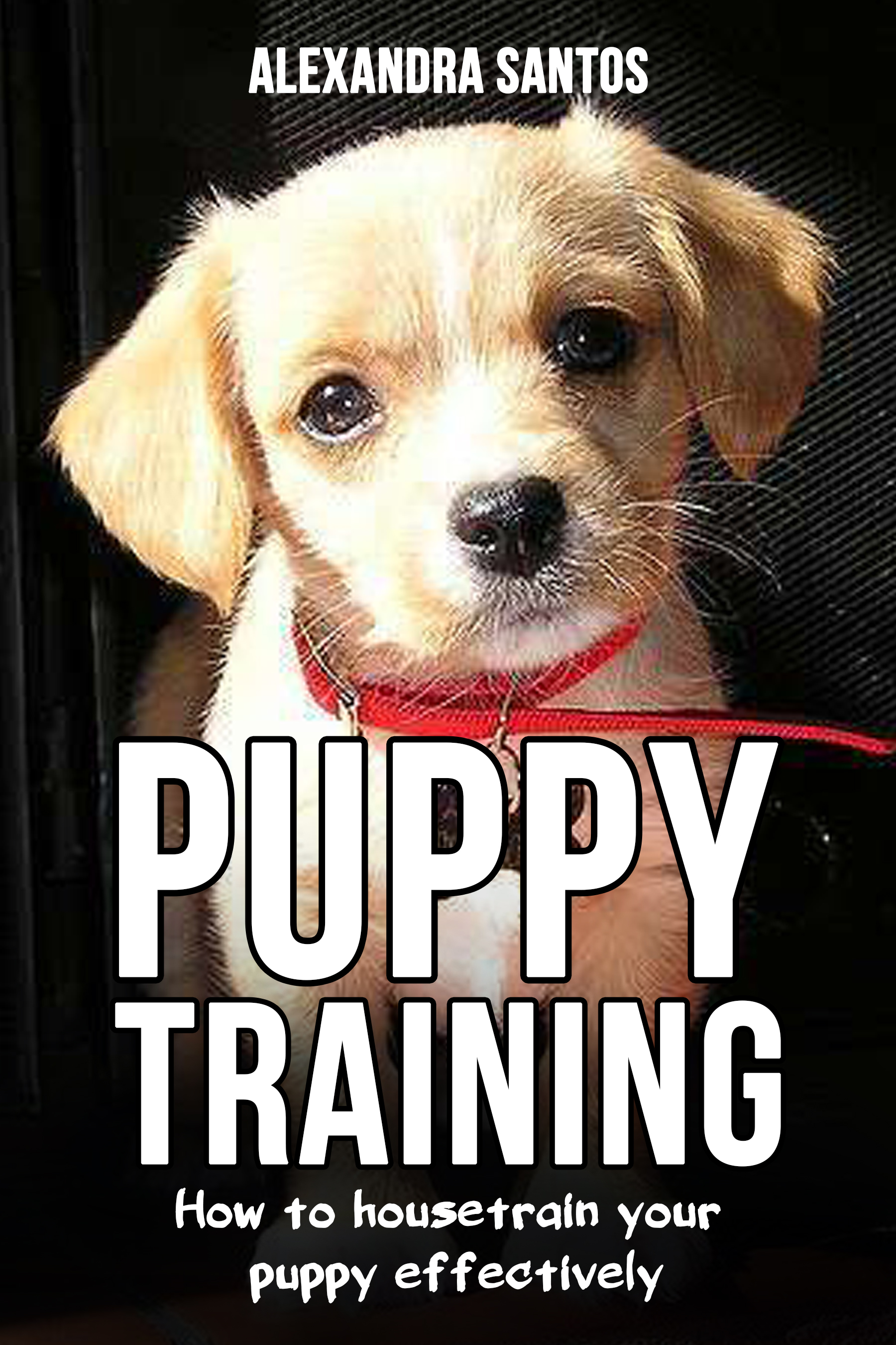 FREE: Puppy Training – how to housetrain your puppy effectively by Alexandra Santos