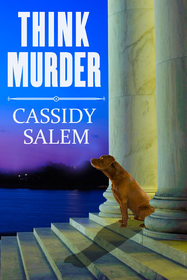 FREE: Think Murder (Adina Donati, Accidental Sleuth Book 1) by Cassidy Salem