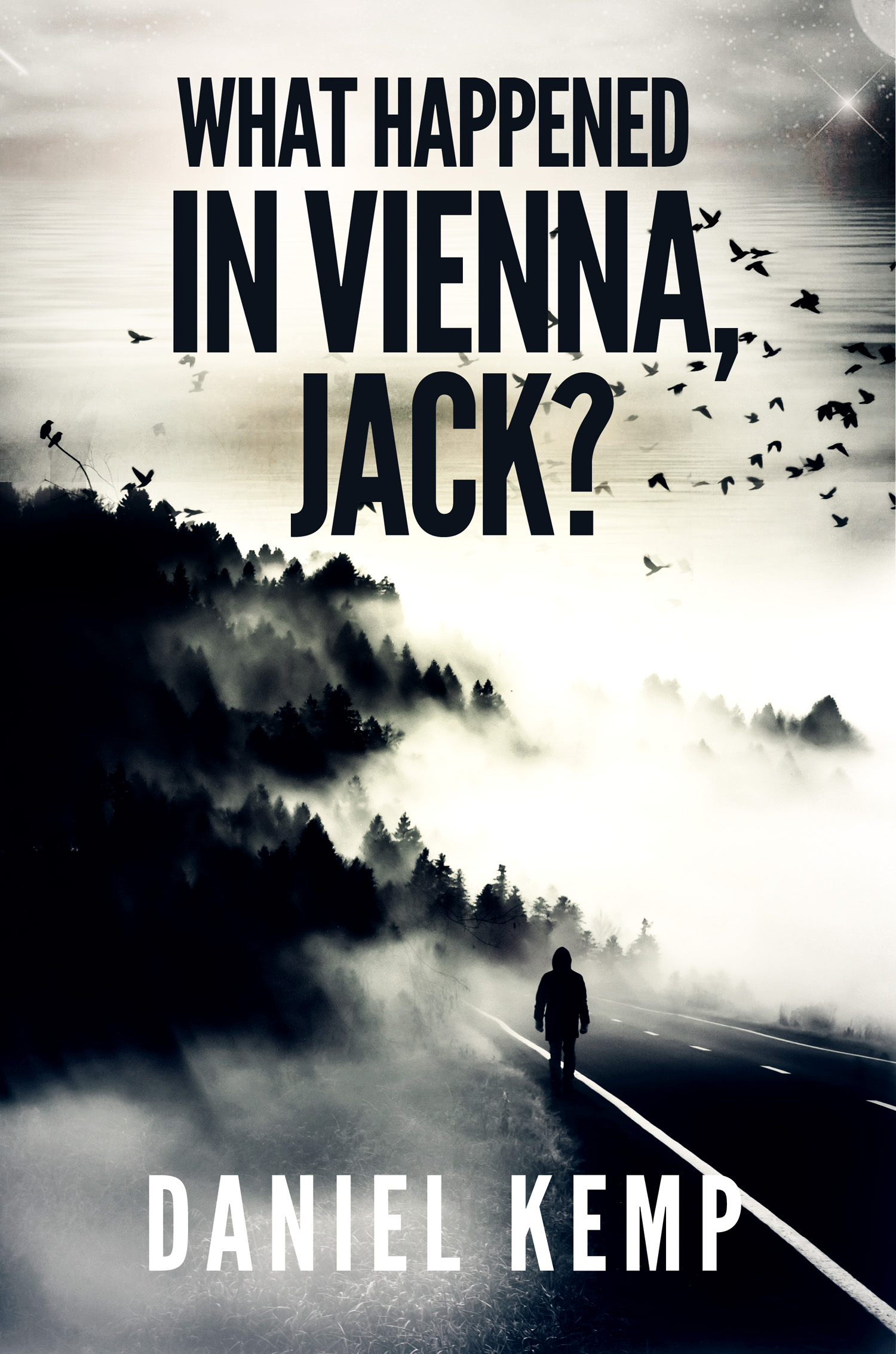 FREE: What Happened in Vienna, Jack? by Daniel Kemp