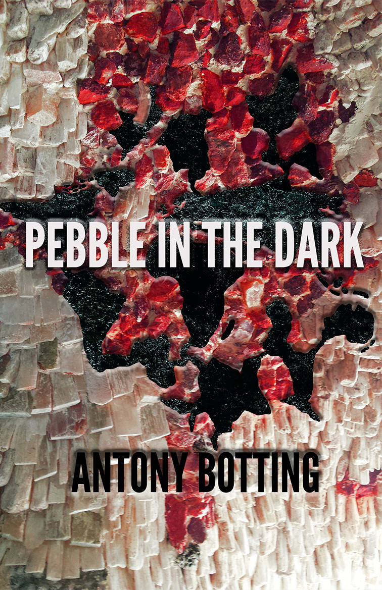 FREE: Pebble in the Dark by Antony Botting
