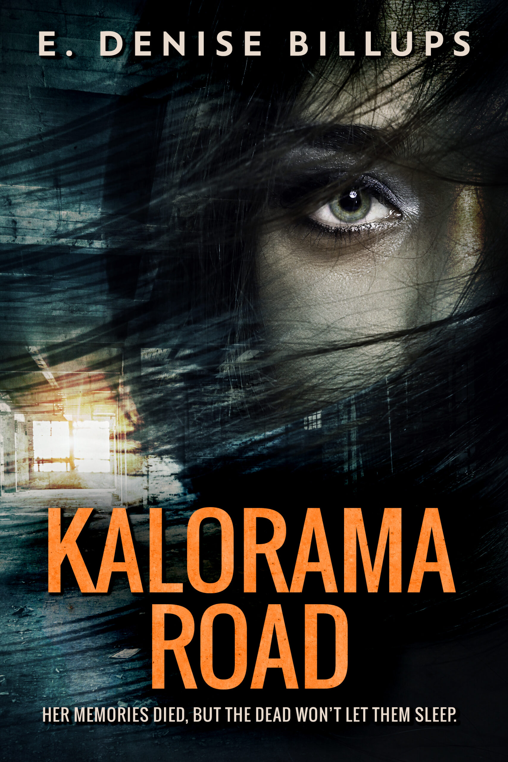 FREE: Kalorama Road by E. Denise Billups