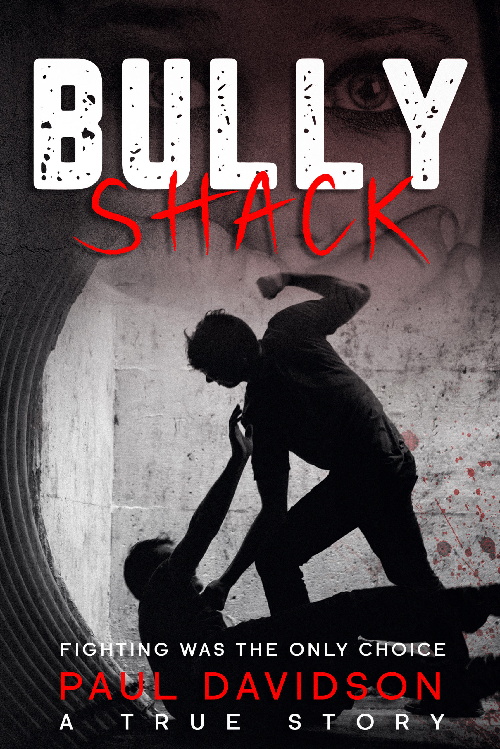 FREE: Bully Shack by Paul Davidson