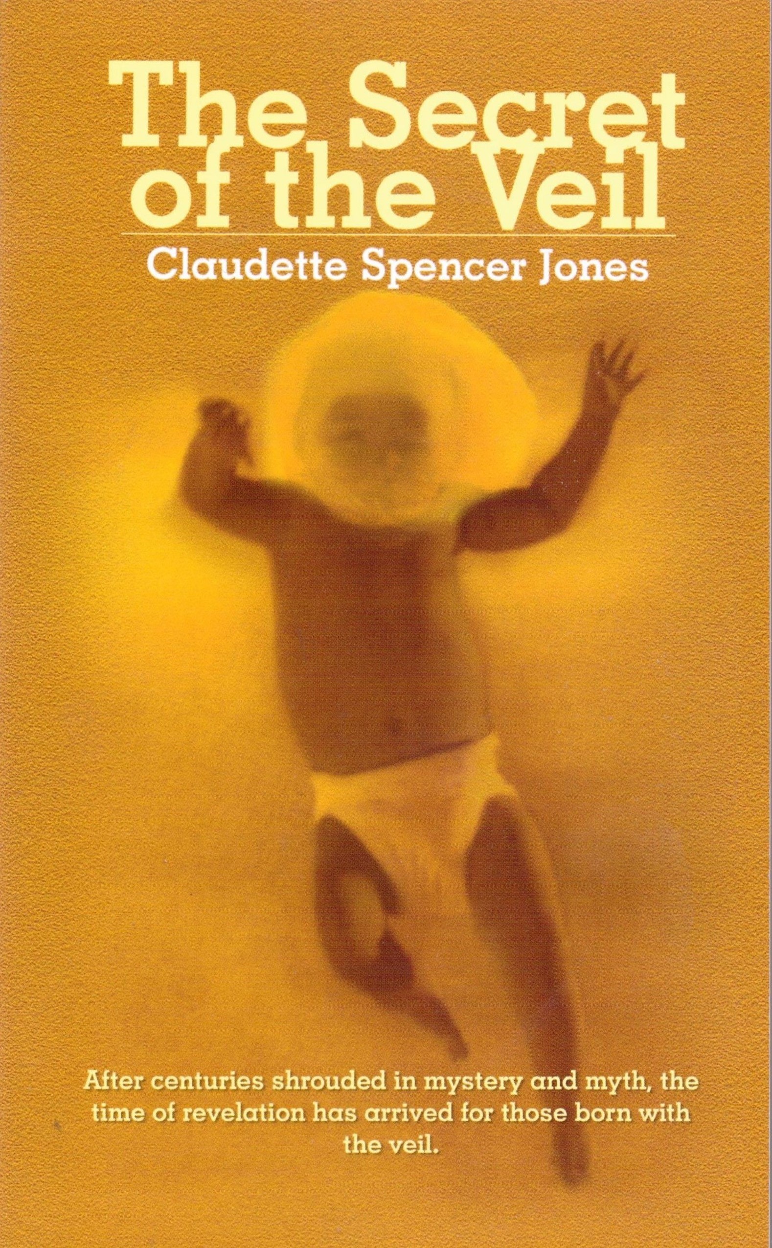 FREE: The Secret of the Veil by Claudette S. Jones
