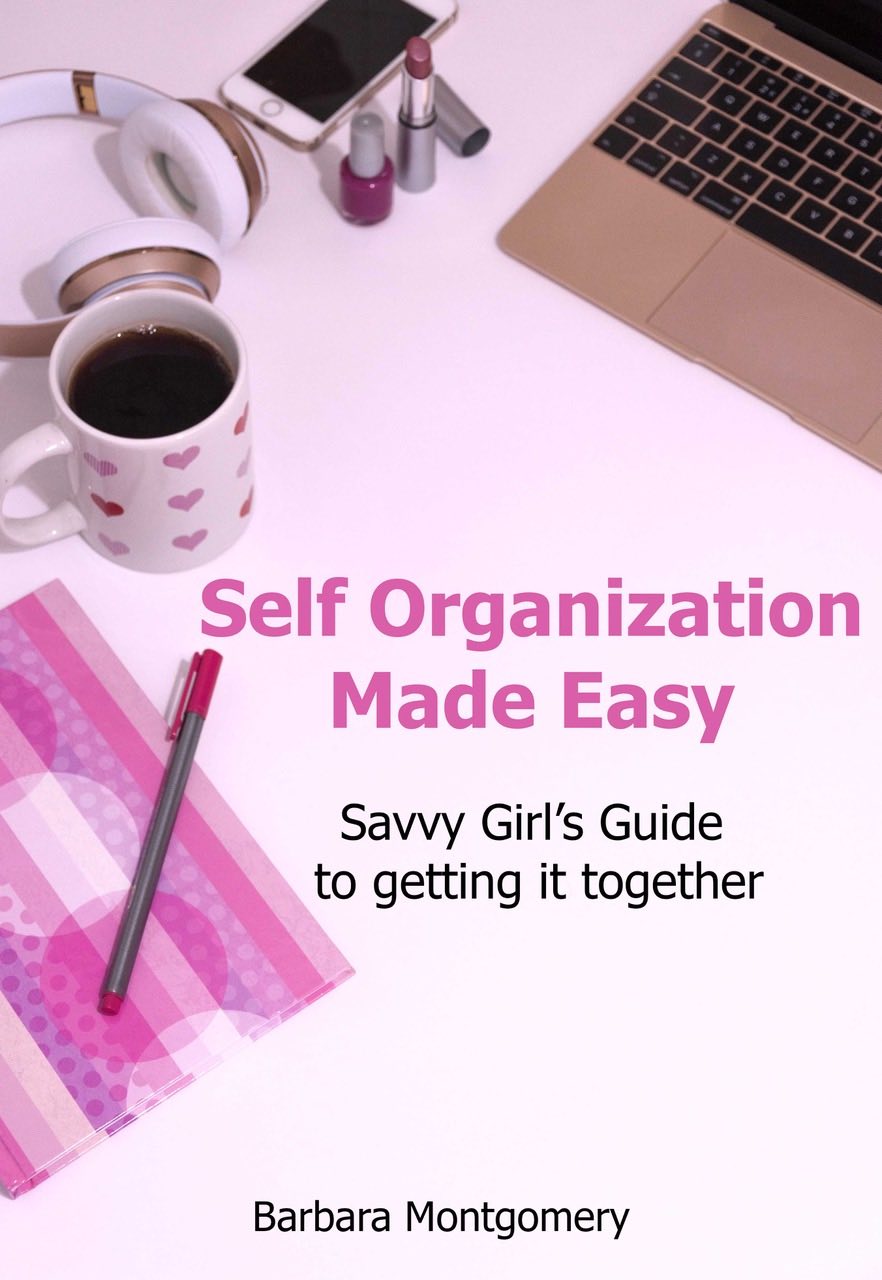 FREE: Self Organization Made Easy by Barbara Montgomery