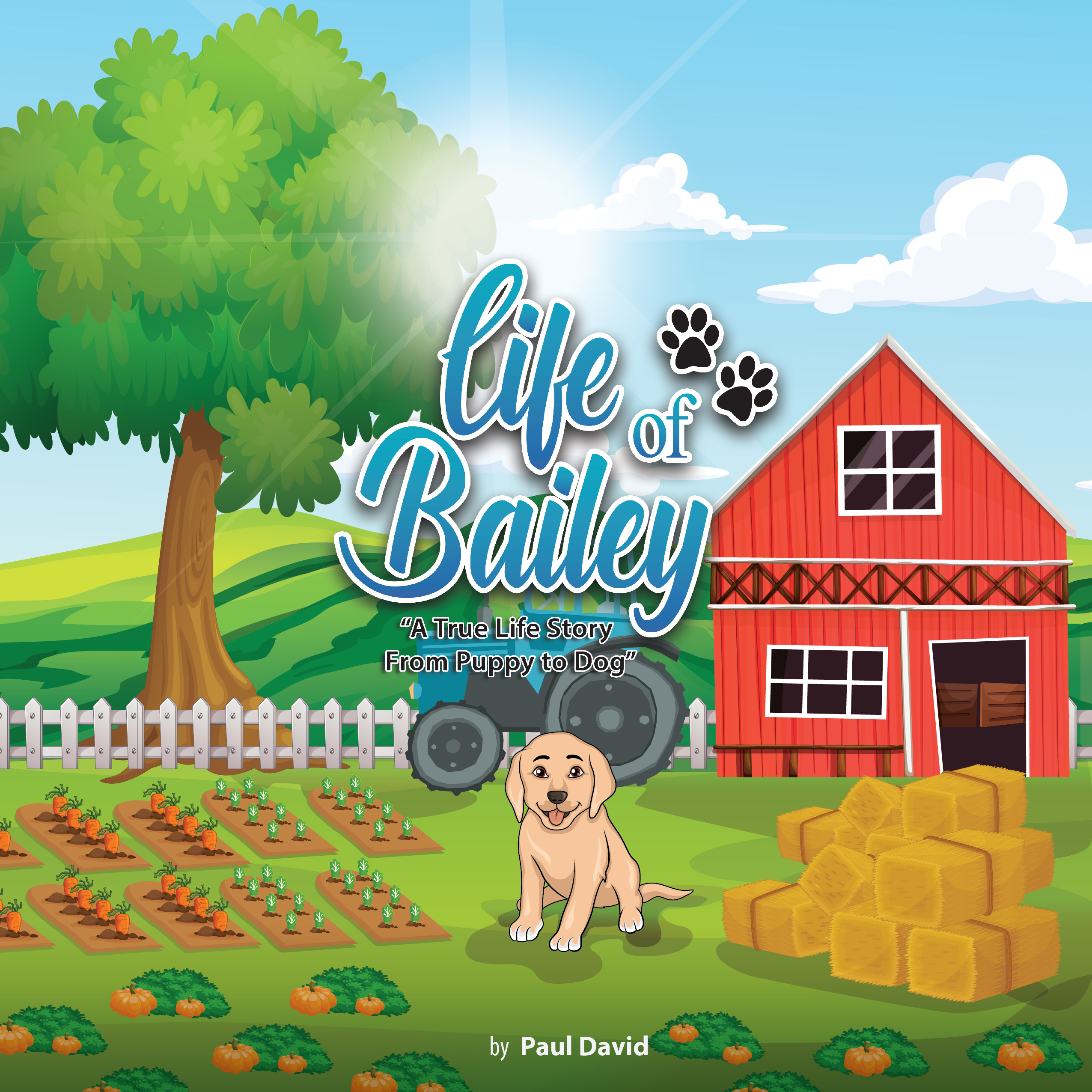 FREE: Life of Bailey.  A True Story From Puppy To Dog by Paul David