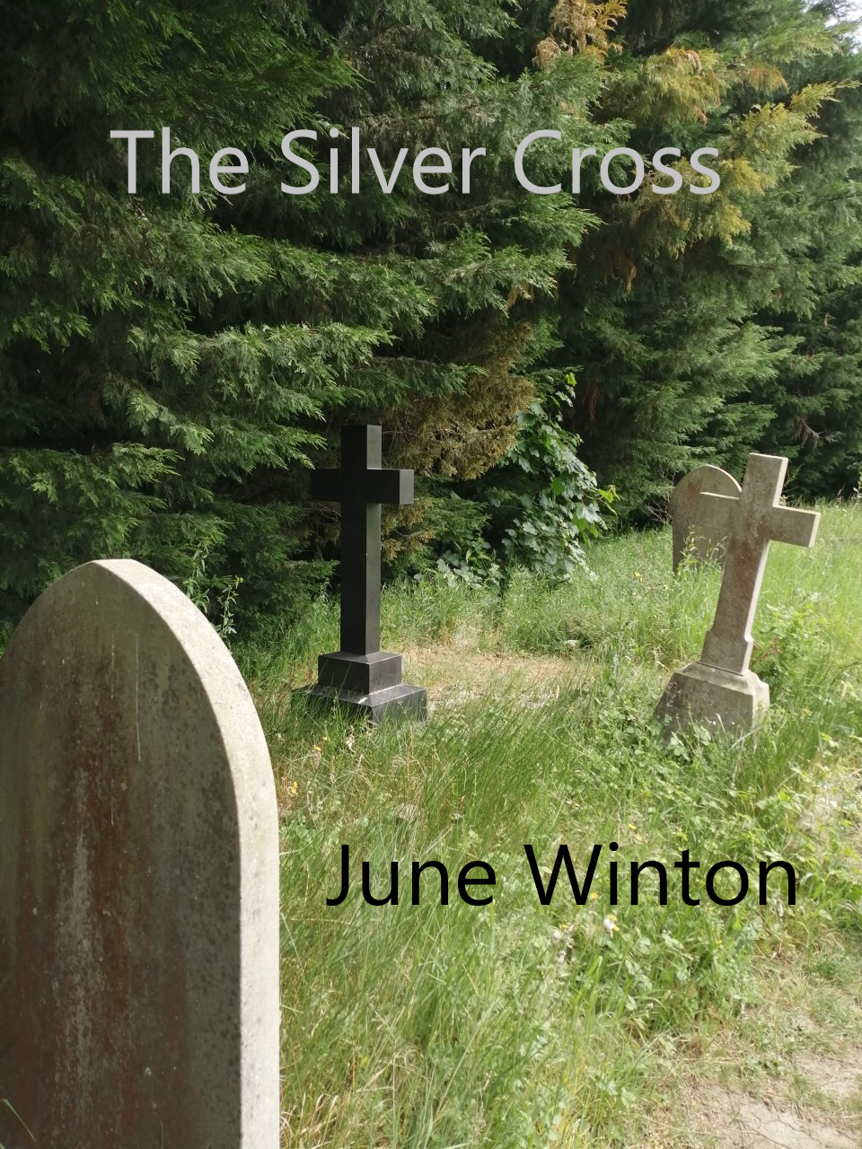 FREE: The Silver Cross by June Winton