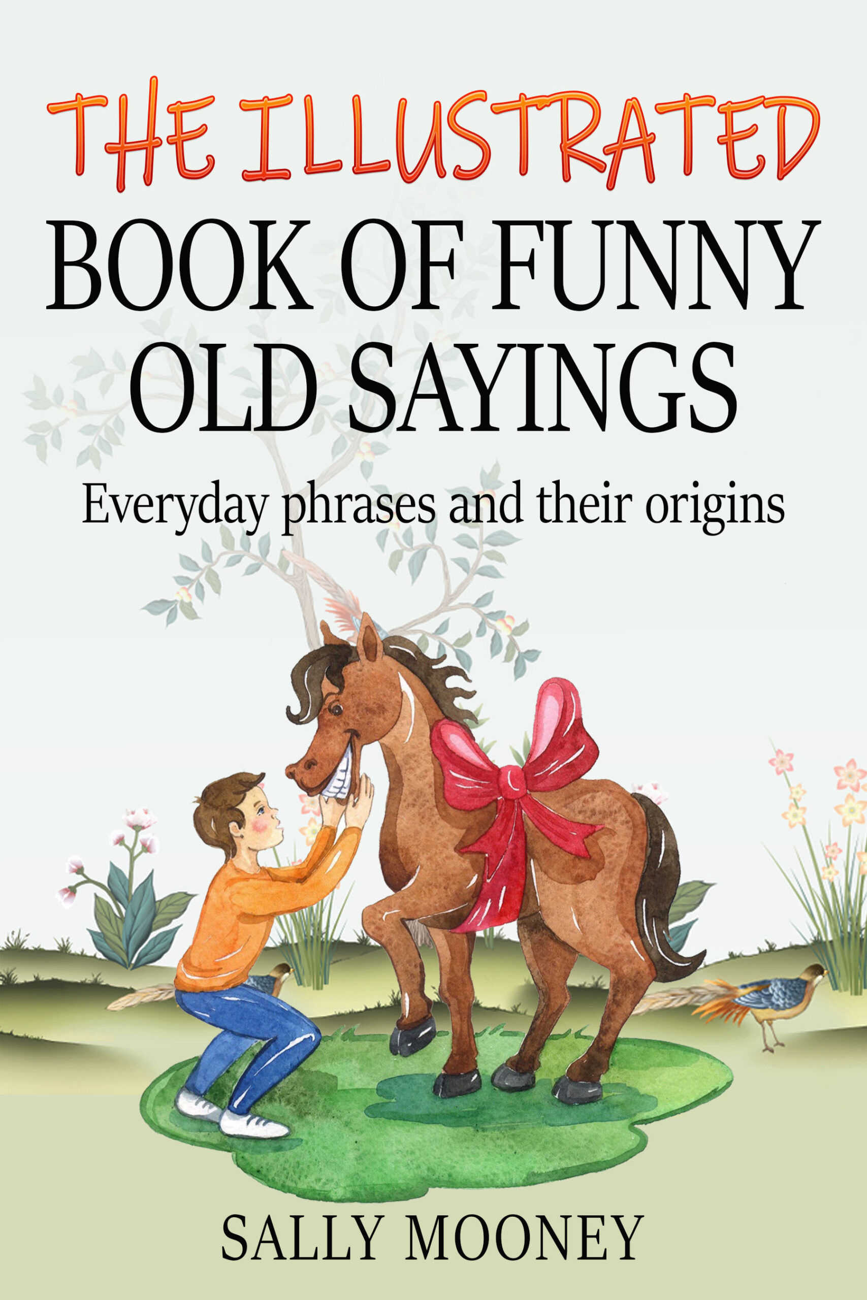FREE: The Illustrated Book of Funny Old Sayings by Sally Mooney