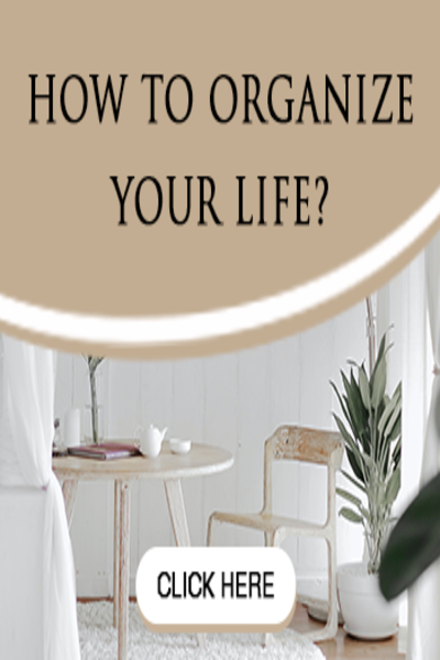 FREE: The Organized Life: How to overcome cluttered mind and take back your life by Tushar Biswas