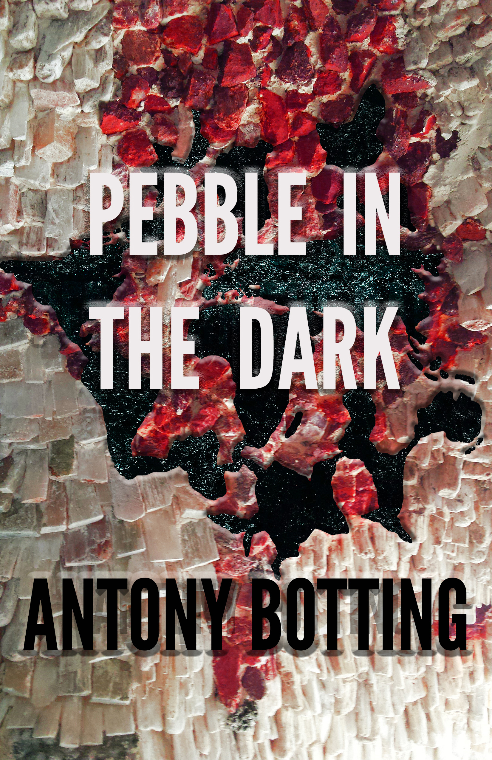 FREE: Pebble in the Dark by Antony Botting