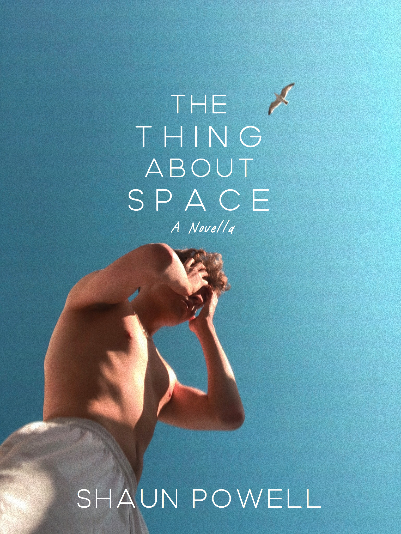 FREE: The Thing About Space by Shaun Powell