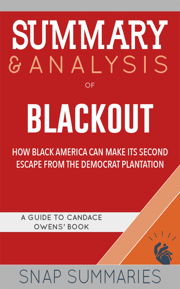 FREE: Summary & Analysis of Blackout by SNAP Summaries