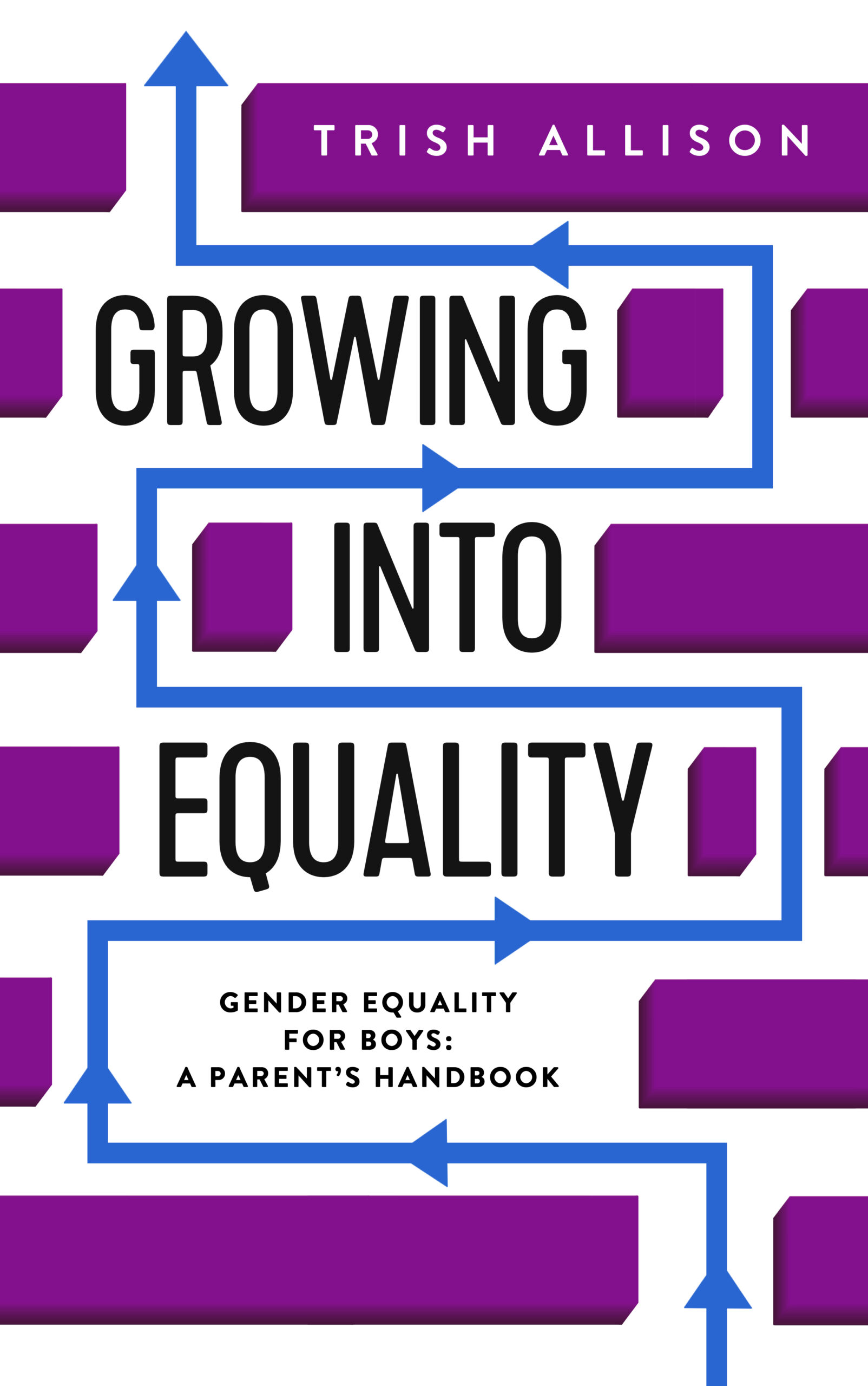 FREE: Gender Equality for Boys: A Parent’s Handbook by Trish Allison