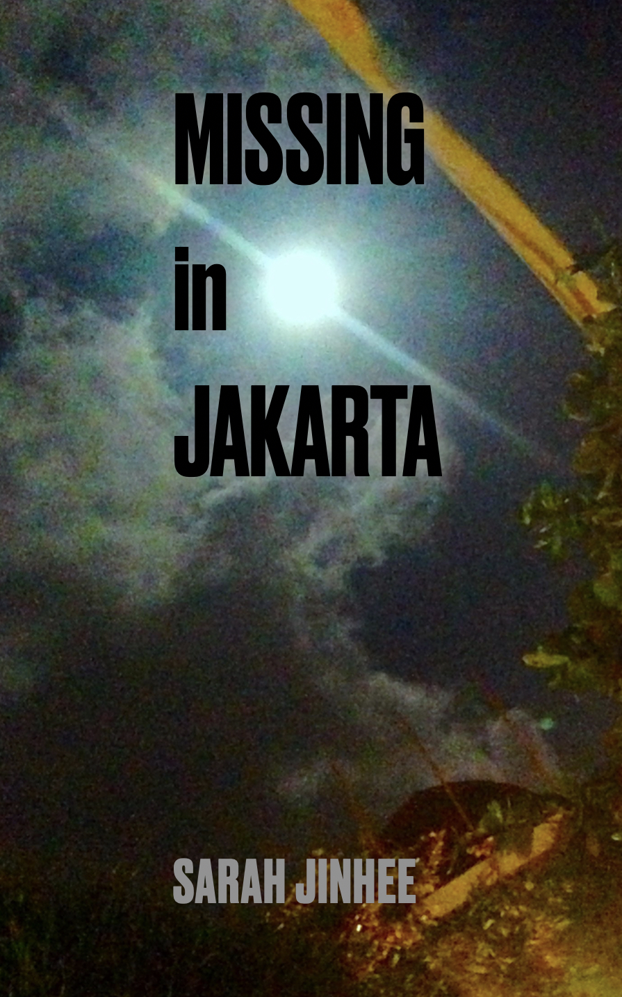 FREE: Missing In Jakarta by Sarah Jinhee .