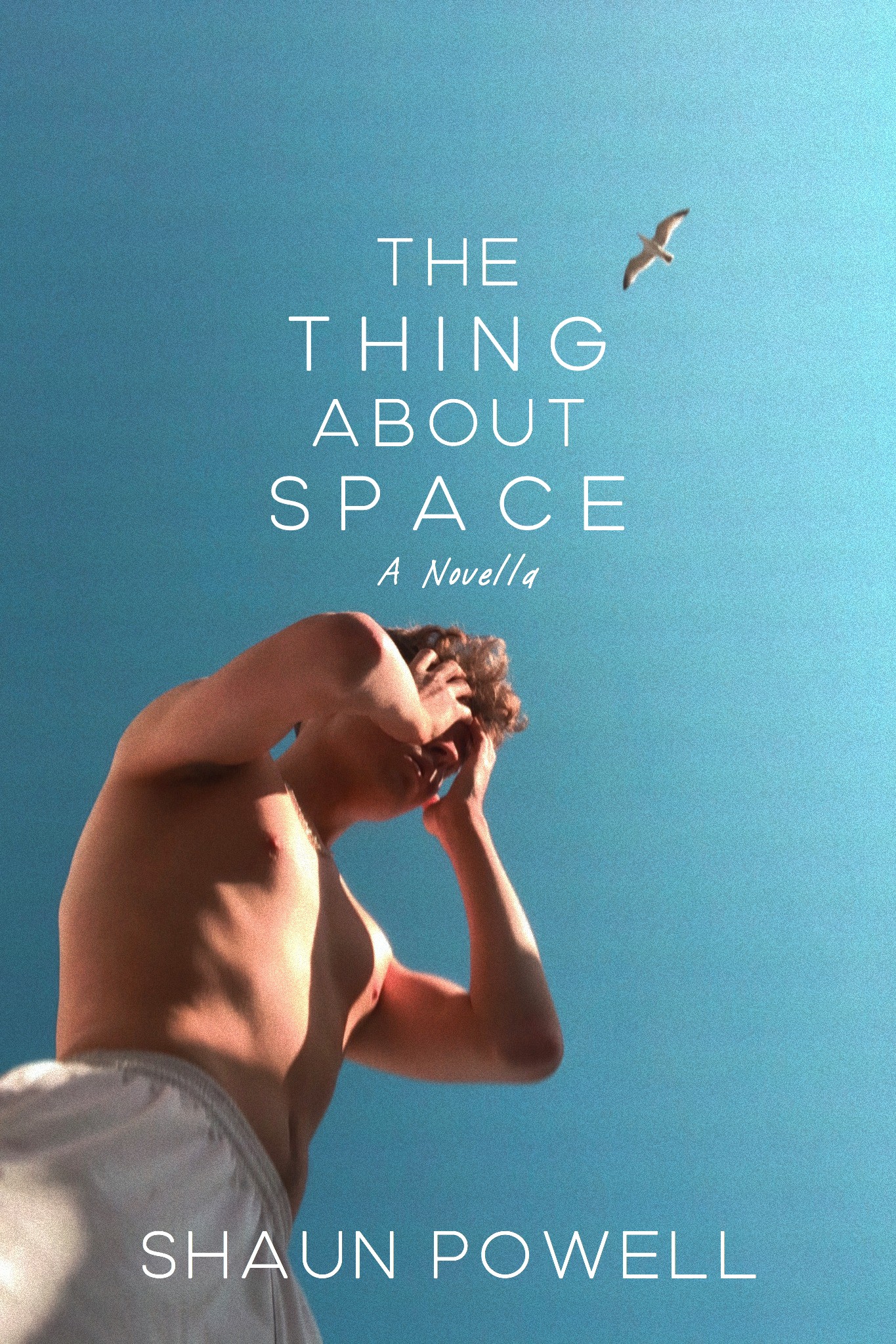FREE: The Thing About Space by Shaun Powell