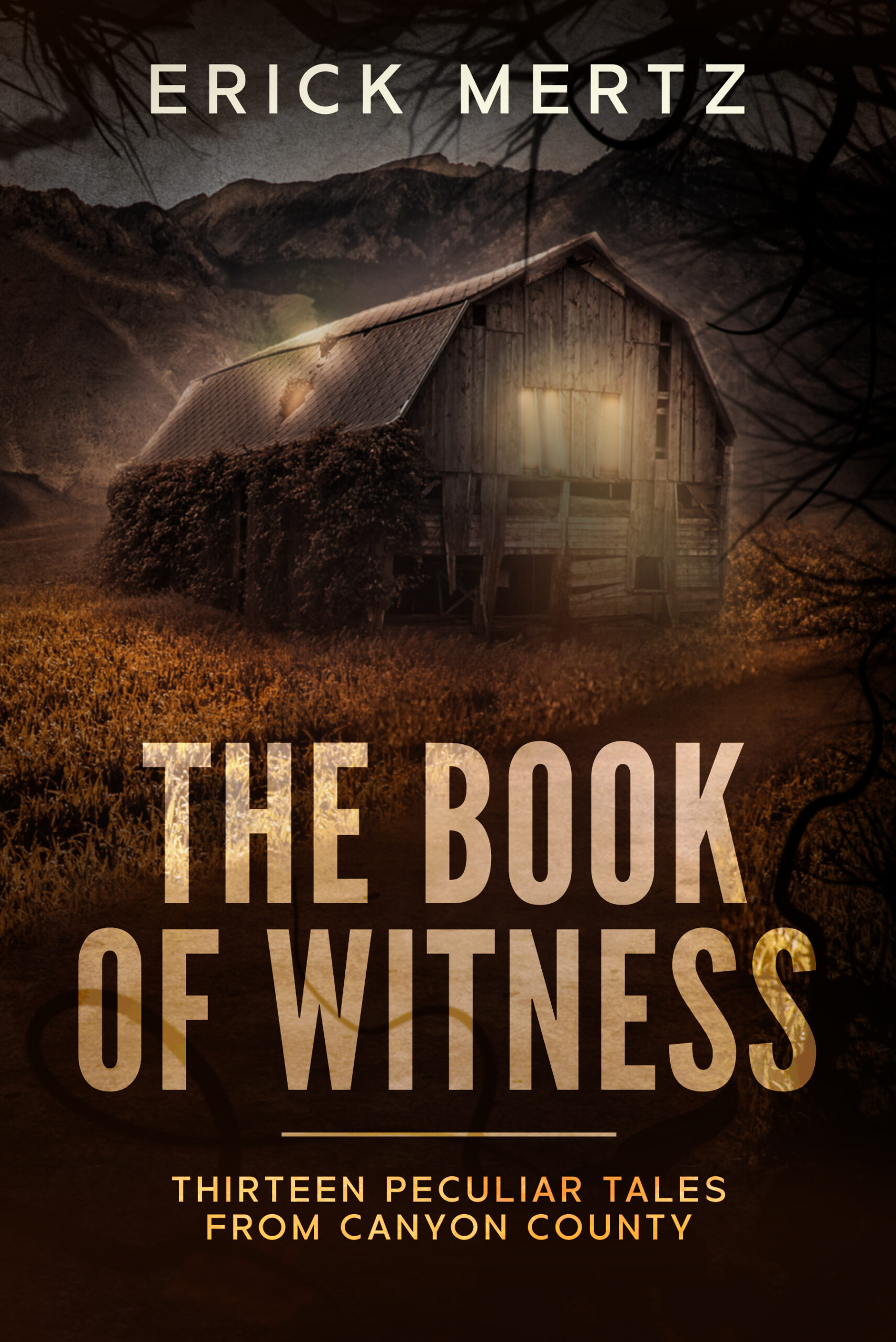 FREE: The Book Of Witness, Omnibus Edition by Erick W Mertz