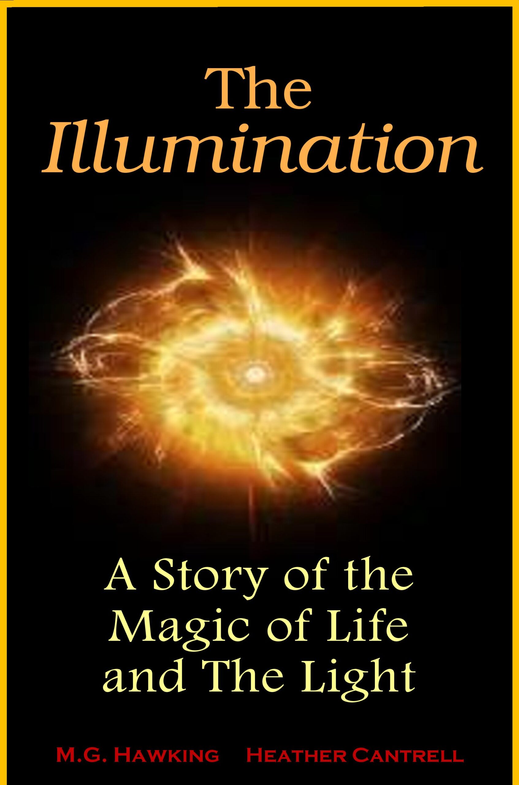 FREE: The Illumination, A Story of the Magic of Life and The Light by Michael Hawking
