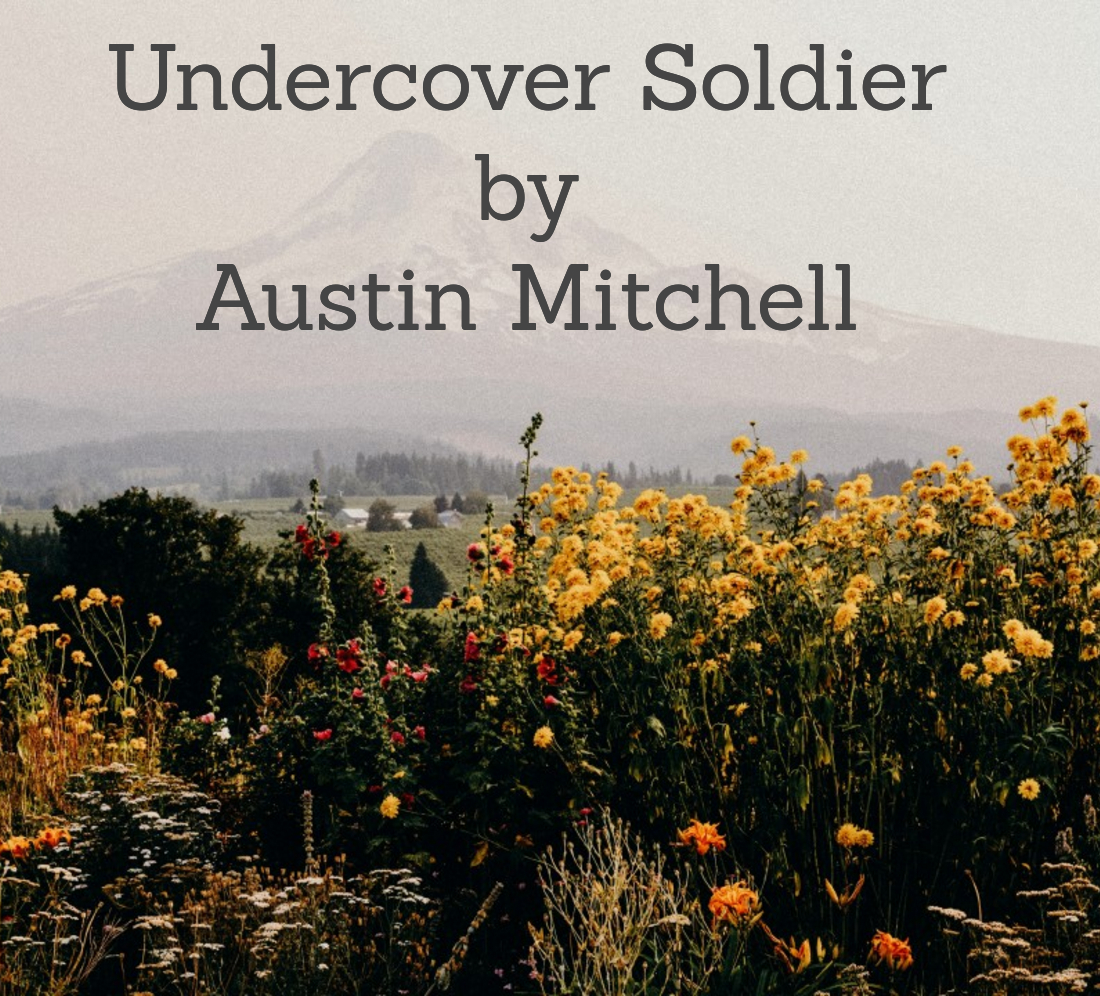 FREE: Undercover Soldier by Austin Mitchell