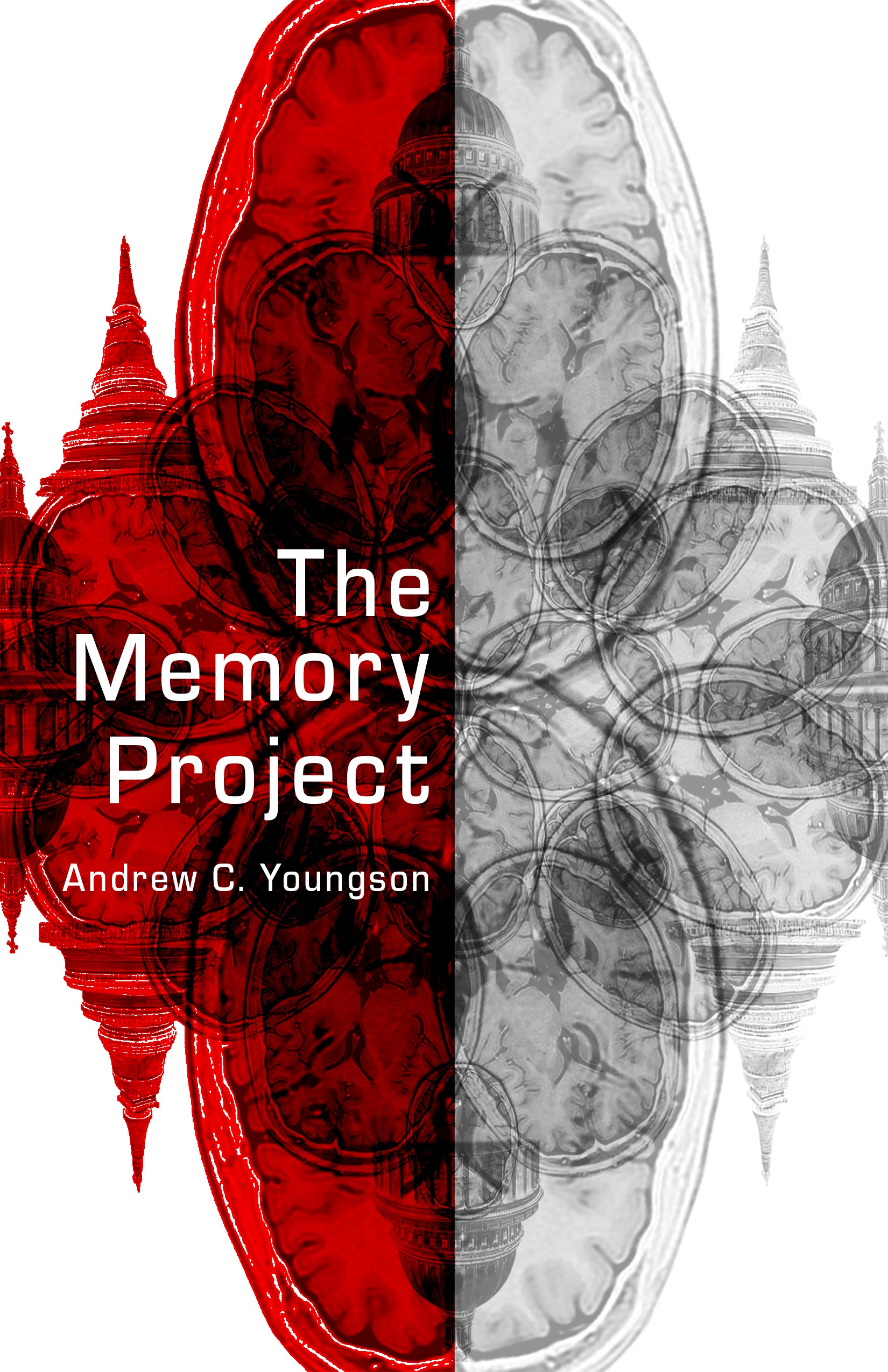 FREE: The Memory Project by Andrew C. Youngson