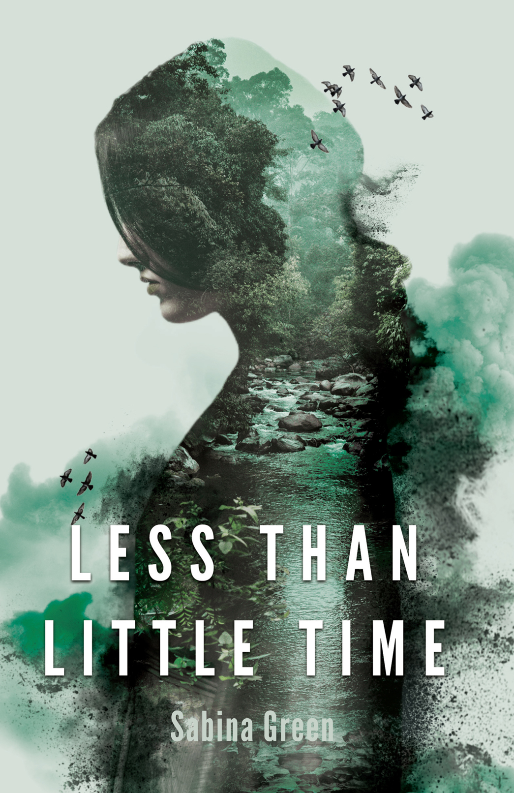 FREE: Less Than Little Time by Sabina Green