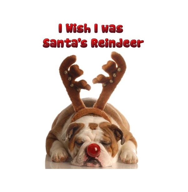 FREE: Children Book : I Wish I was Santa’s Reindeer (Great Story for Christmas) (age 4-9) by Dan Jackson