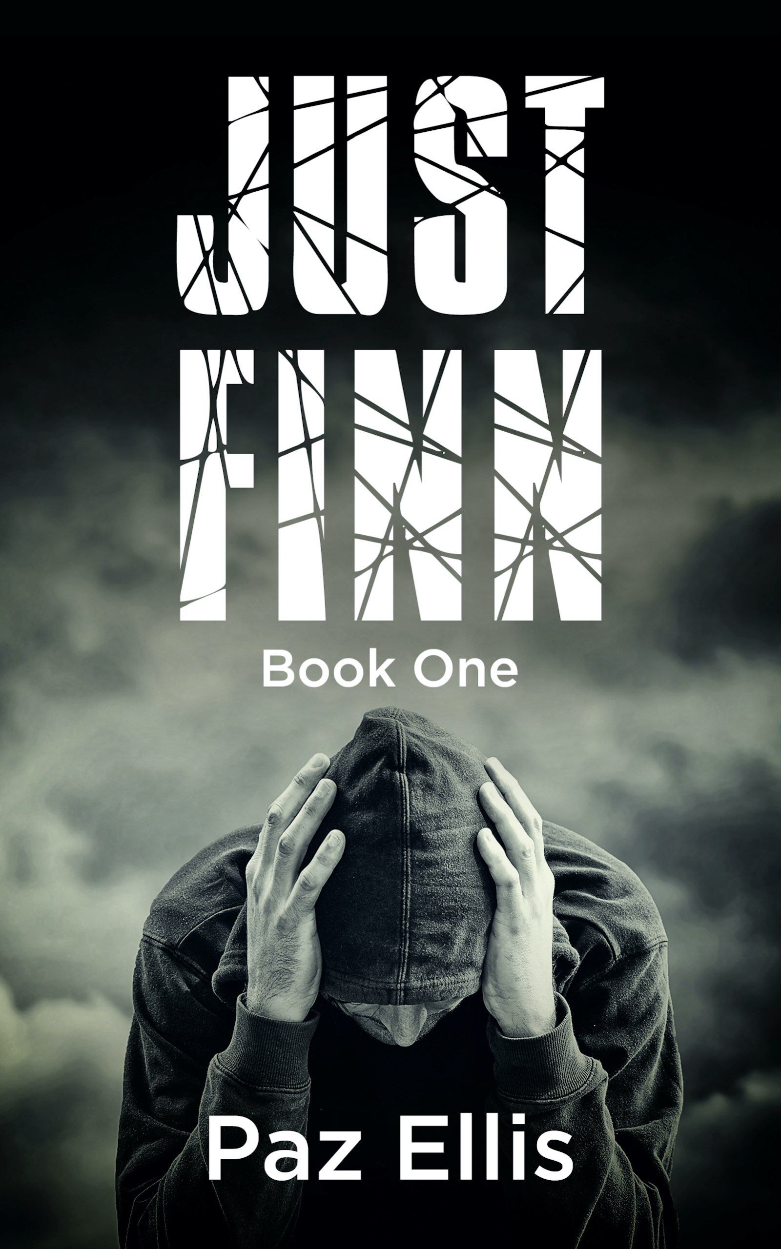 FREE: Just Finn Book One by Paz Ellis