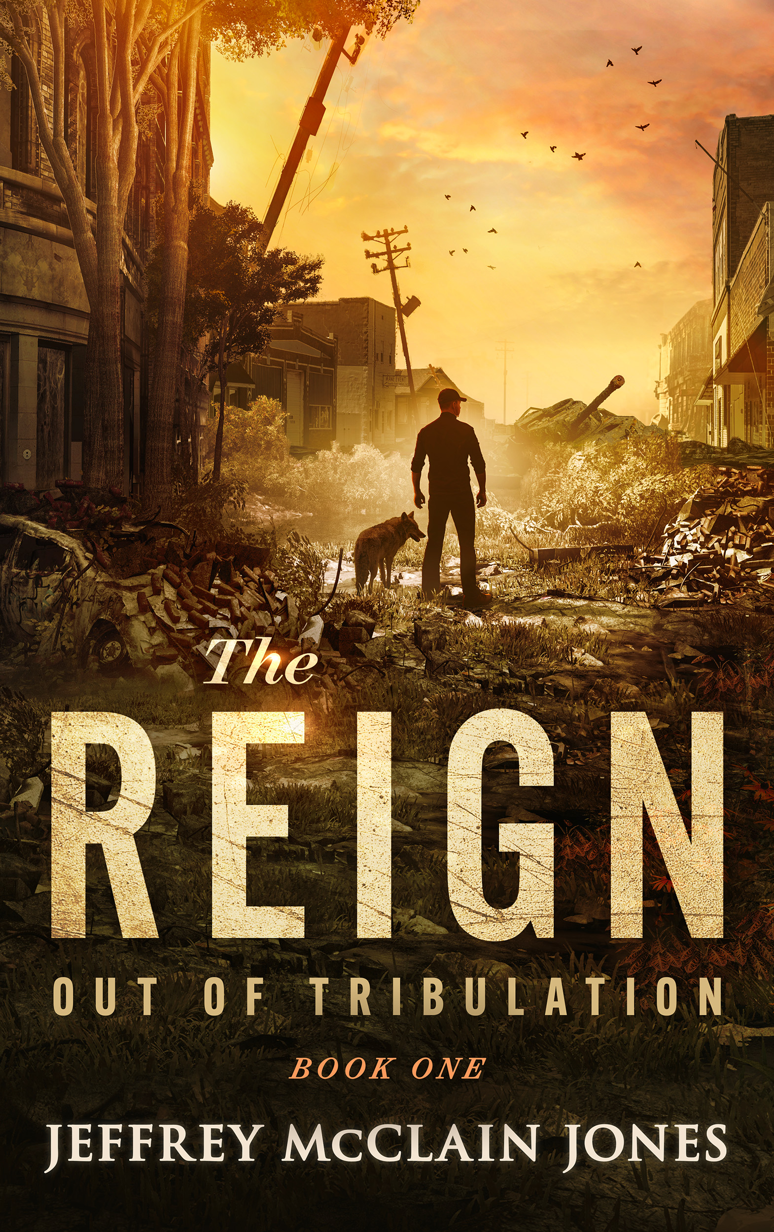 FREE: The REIGN: Out of Tribulation by Jeffrey McClain Jones