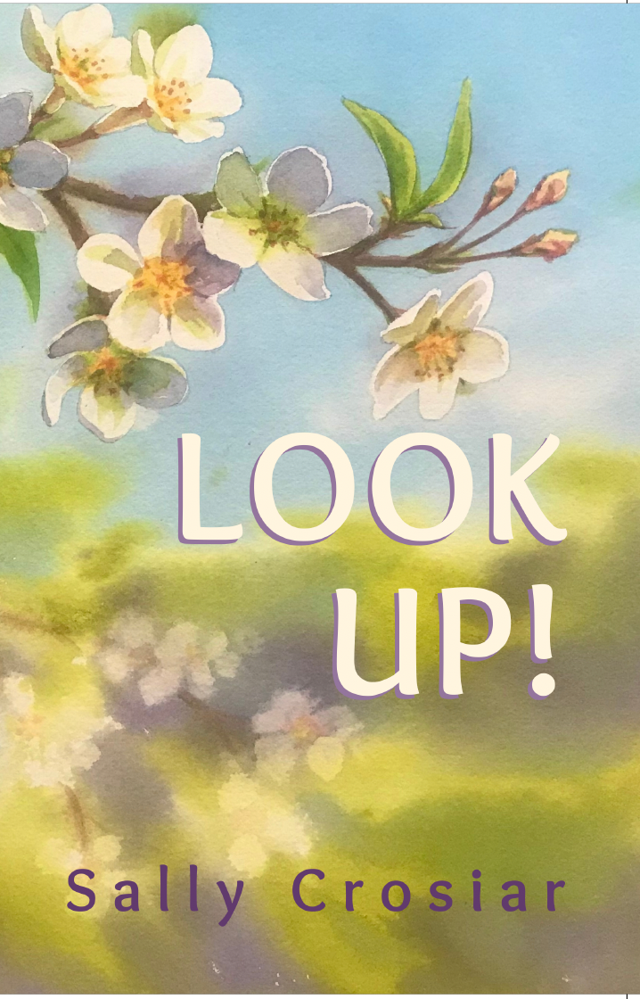 FREE: Look Up! by Sally Crosiar